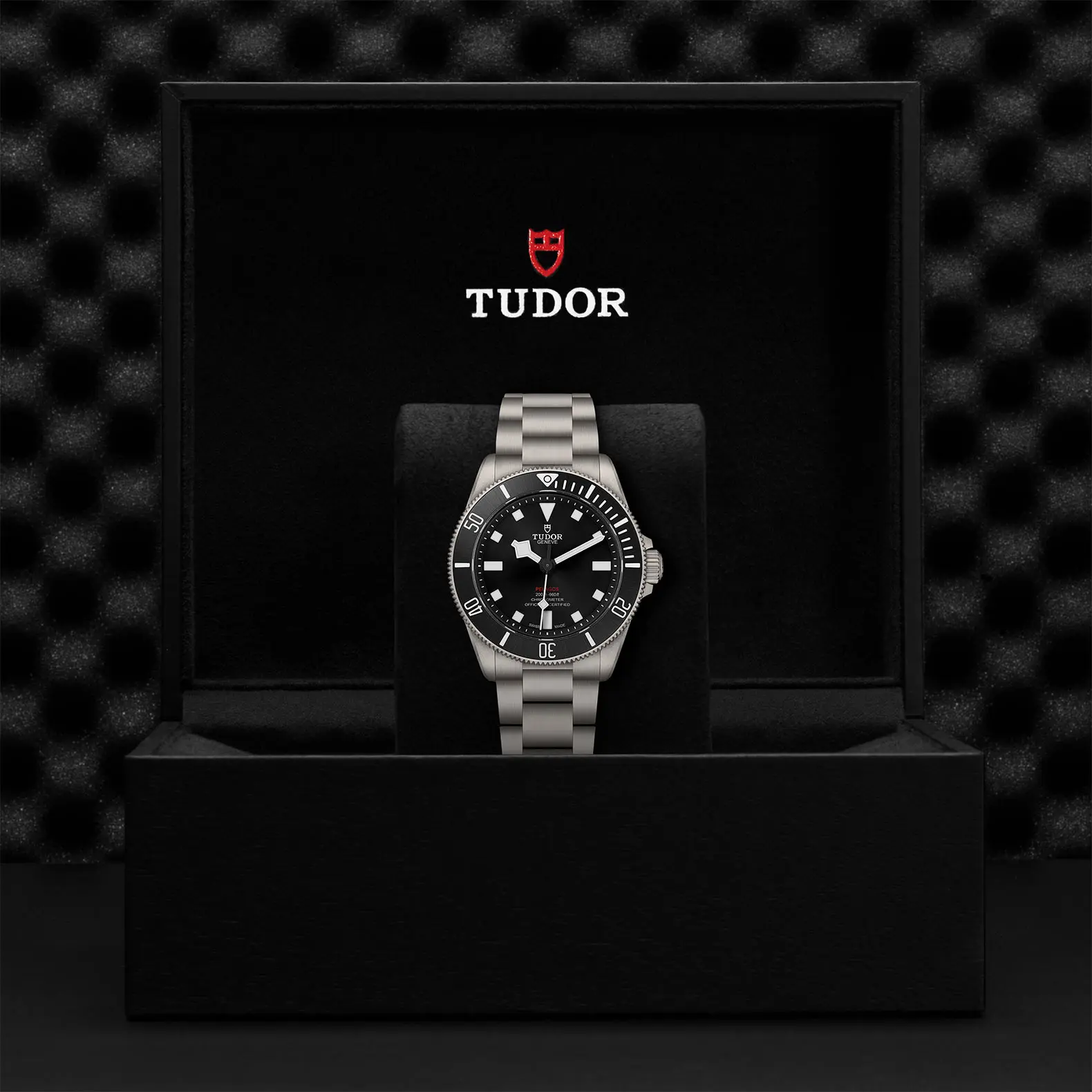TUDORPelagos 39领潜型磨砂2级钛金属表壳，直径39毫米 - M25407N-0001 at Cortina Watch Malaysia
