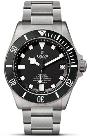 TUDORPelagos领潜型磨砂钛金属及钢表壳，直径42毫米 - M25600TN-0001 at Cortina Watch Malaysia