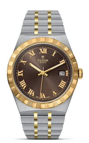 TUDORTUDOR Royal帝舵皇家系列磨光及磨砂钢表壳，直径38毫米 - M28503-0007 at Cortina Watch Malaysia