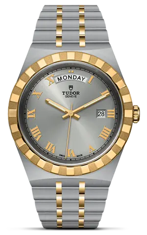 TUDORTUDOR Royal帝舵皇家系列磨光及磨砂钢表壳，直径41毫米 - M28603-0001 at Cortina Watch Malaysia