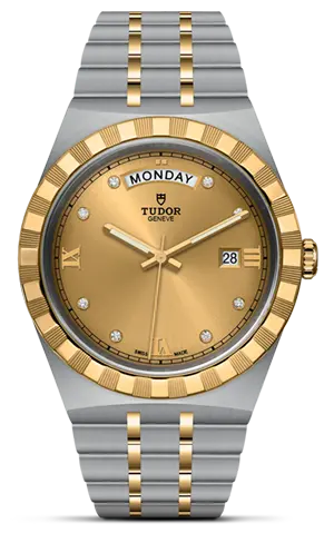 TUDORTUDOR Royal帝舵皇家系列磨光及磨砂钢表壳，直径41毫米 - M28603-0006 at Cortina Watch Malaysia
