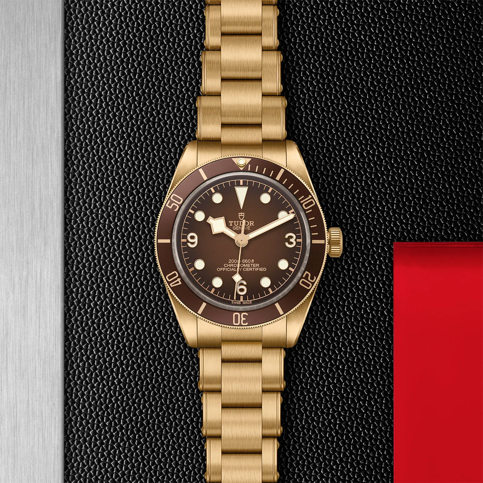 TUDORBlack Bay 58 Bronze "Boutique Edition"Black Bay 5839mm satin-brushed bronze case whose colour evolves to match its user’s habits - M79012M-0001 at Cortina Watch Malaysia