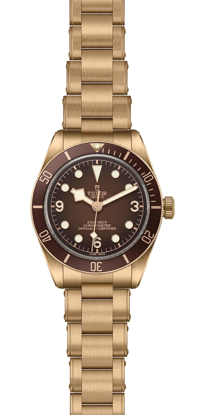 TUDORBlack Bay 58 Bronze "Boutique Edition"Black Bay 5839mm satin-brushed bronze case whose colour evolves to match its user’s habits - M79012M-0001 at Cortina Watch Malaysia