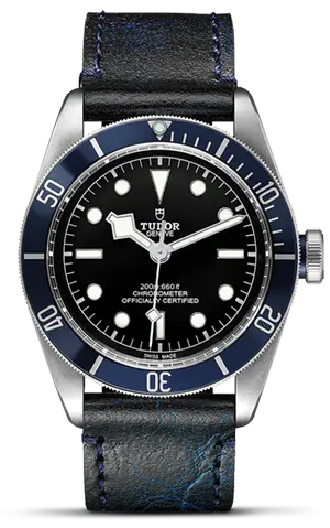 TUDORBlack Bay碧湾磨光及磨砂钢表壳，直径41毫米 - M79230B-0007 at Cortina Watch Malaysia