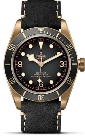 TUDORBlack Bay BronzeBlack Bay Bronze43mm bronze case with bronze-coloured PVD-treated steel case back and satin finish - M79250BA-0001 at Cortina Watch Malaysia