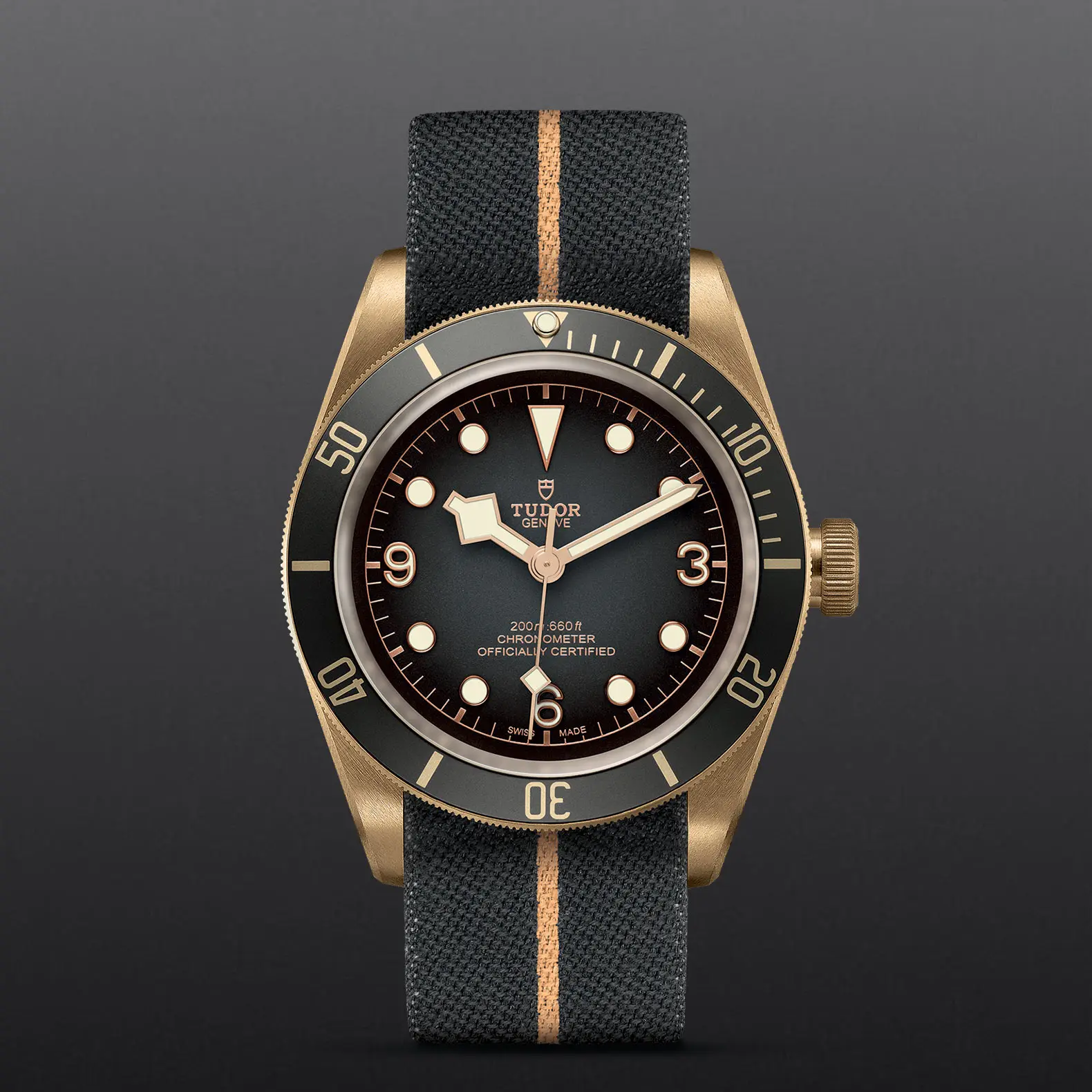 TUDORBlack Bay BronzeBlack Bay Bronze43mm bronze case with bronze-coloured PVD-treated steel case back and satin finish - M79250BA-0002 at Cortina Watch Malaysia