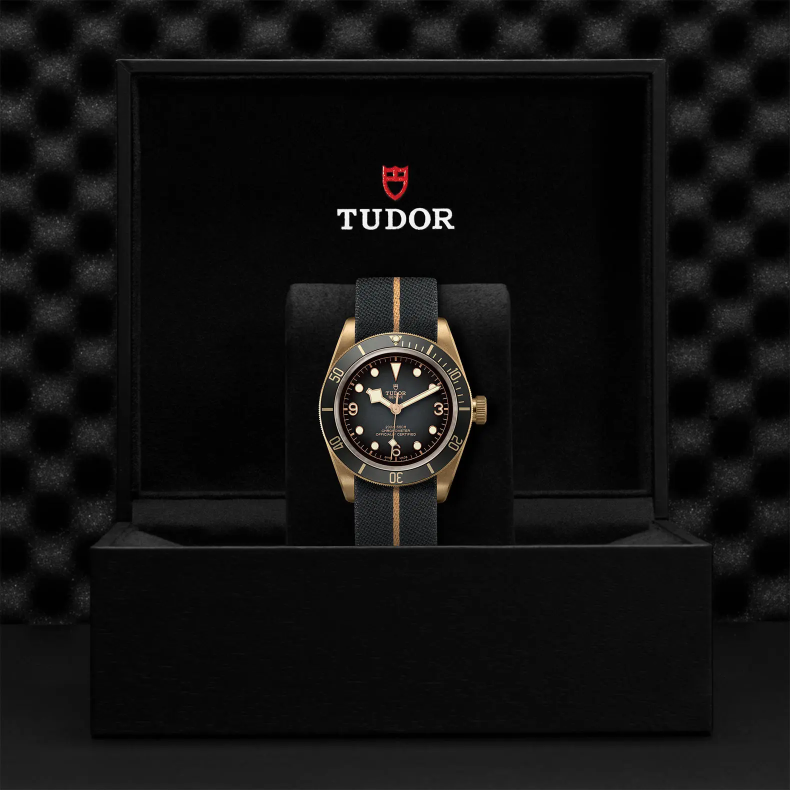 TUDORBlack Bay BronzeBlack Bay Bronze43mm bronze case with bronze-coloured PVD-treated steel case back and satin finish - M79250BA-0002 at Cortina Watch Malaysia