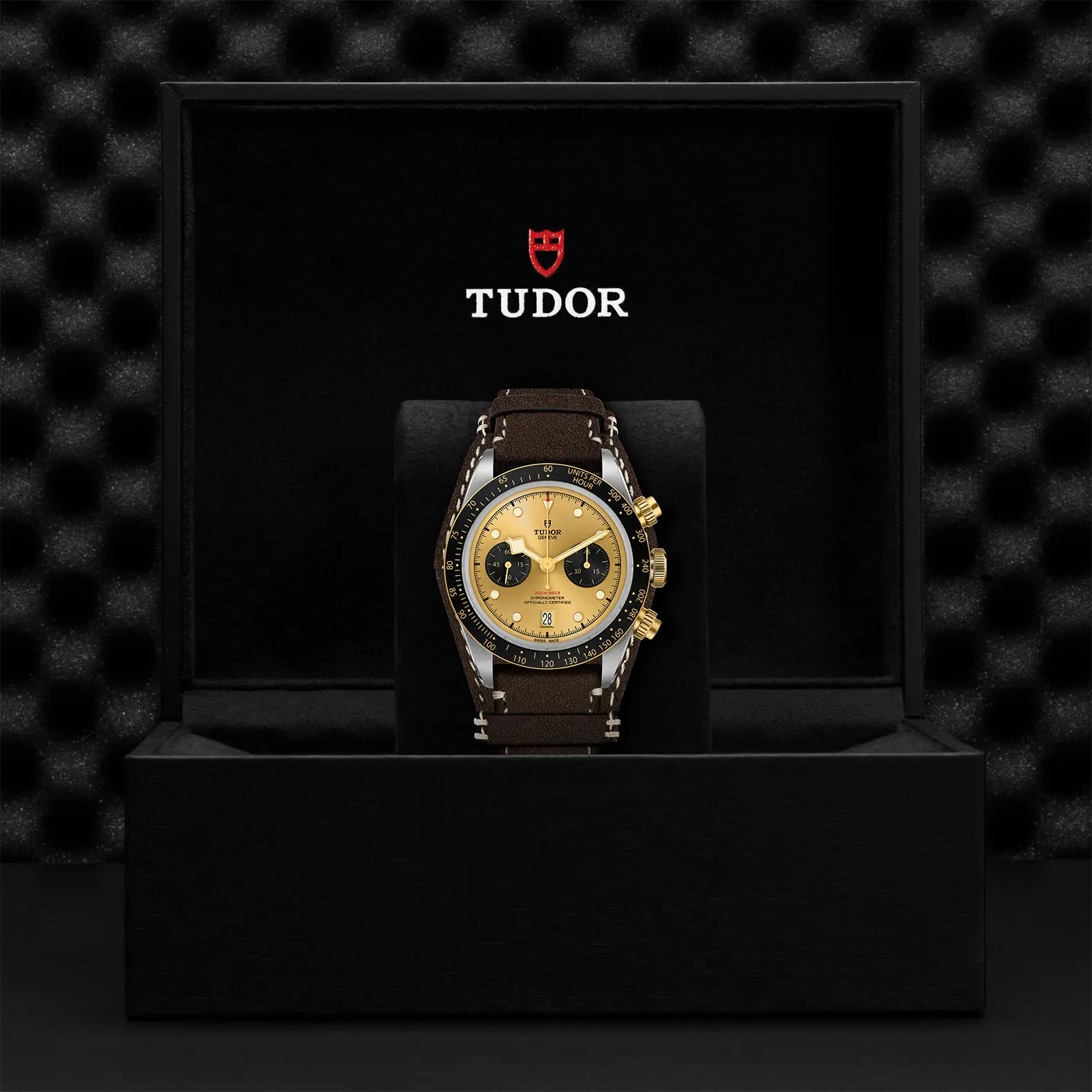 TUDOR碧湾计时型黄金钢款Black Bay Chrono磨光及磨砂钢表壳，直径41毫米 - M79363N-0008 at Cortina Watch Malaysia
