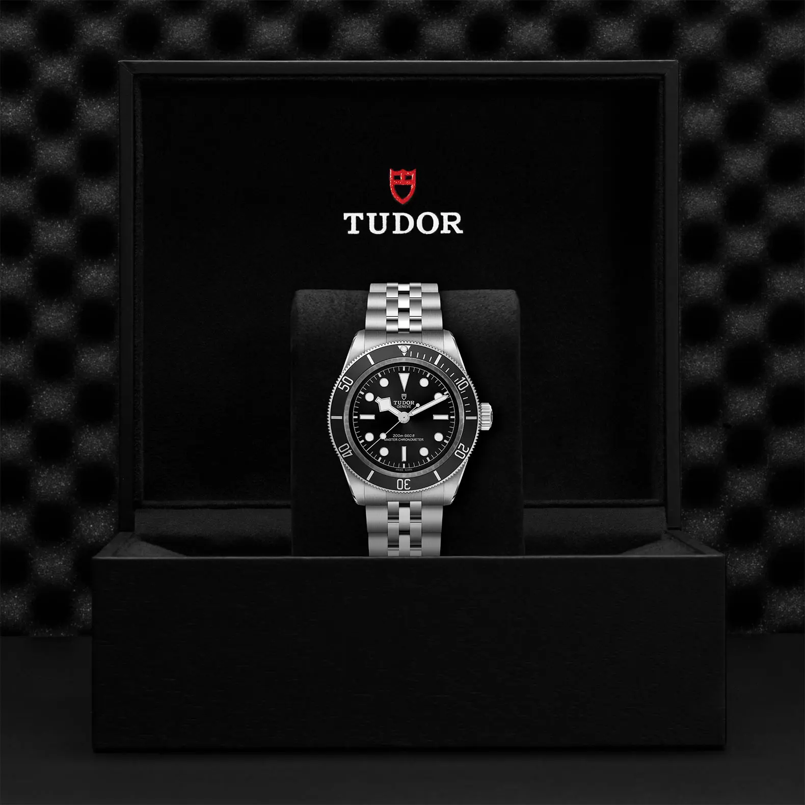TUDORBlack Bay碧湾磨光及磨砂钢表壳，直径41毫米 - M7941A1A0NU-0003 at Cortina Watch Malaysia