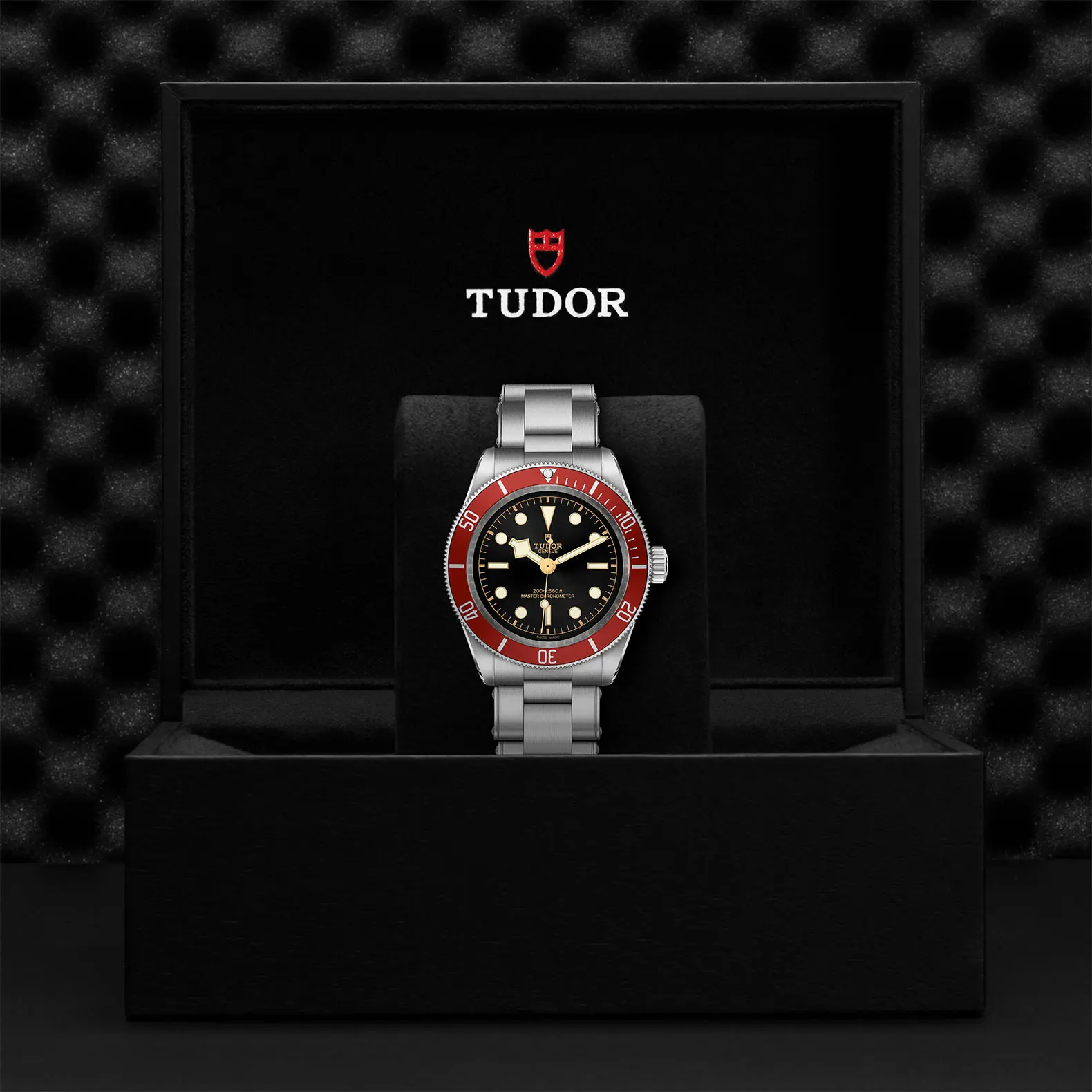 TUDORBlack Bay碧湾磨光及磨砂不锈钢表壳，直径41毫米 - M7941A1A0RU-0001 at Cortina Watch Malaysia