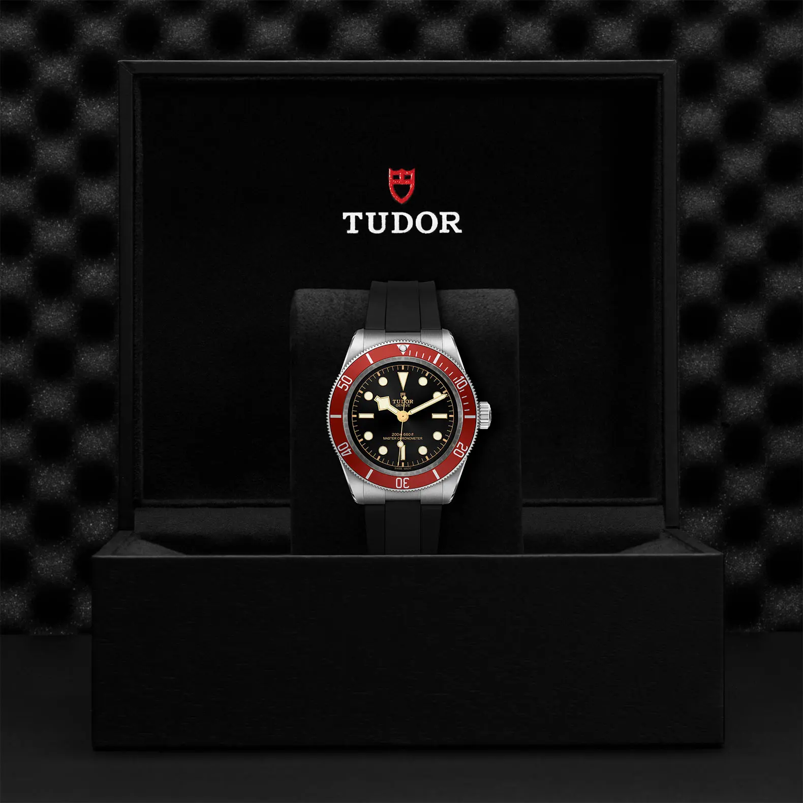 TUDORBlack BayBlack Bay41mm stainless steel case with polished and satin finish - M7941A1A0RU-0002 at Cortina Watch Malaysia