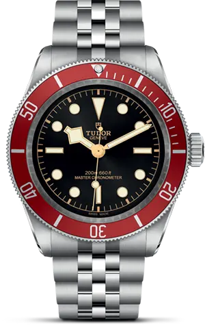 TUDORBlack Bay碧湾磨光及磨砂不锈钢表壳，直径41毫米 - M7941A1A0RU-0003 at Cortina Watch Malaysia