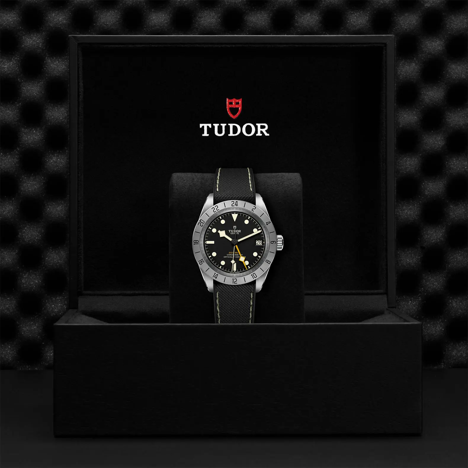 TUDORBlack Bay Pro碧湾专业型磨光及磨砂钢表壳，直径39毫米 - M79470-0003 at Cortina Watch Malaysia