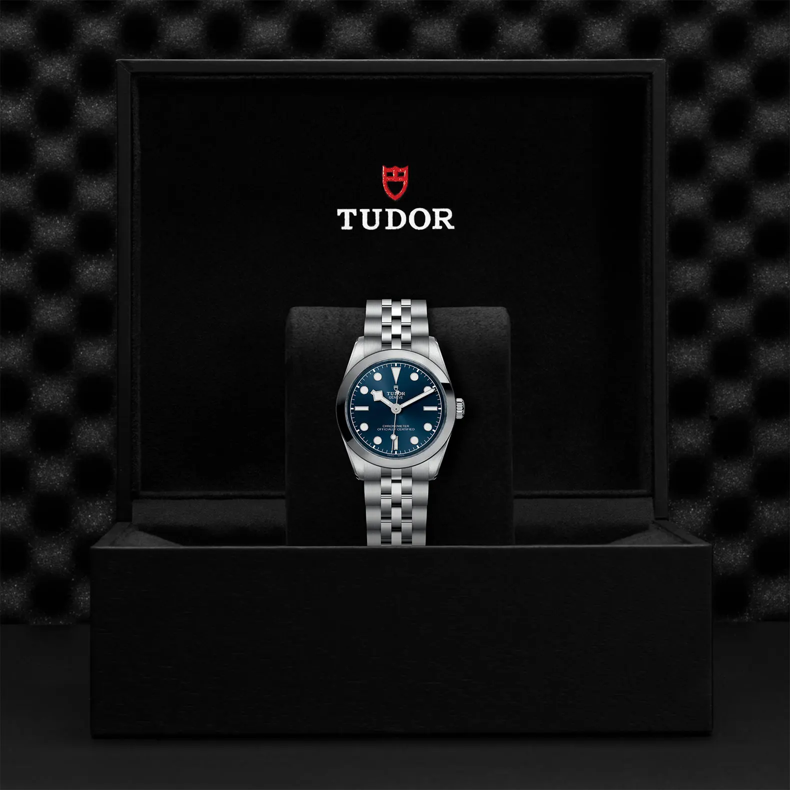 TUDORBlack Bay 31Black Bay 31/36/39/4131mm stainless steel case with polished and satin finish - M79600-0002 at Cortina Watch Malaysia