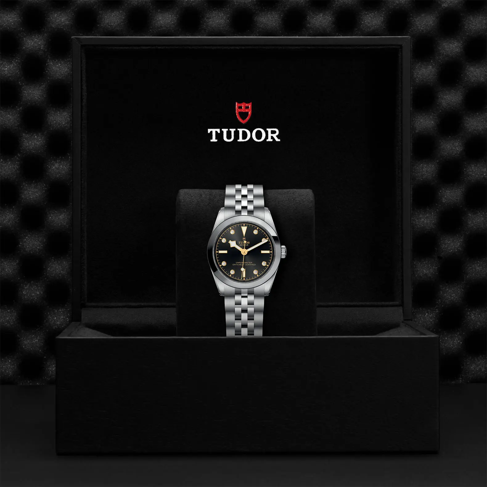 TUDORBlack Bay 31Black Bay 31/36/39/4131mm stainless steel case with polished and satin finish - M79600-0004 at Cortina Watch Malaysia