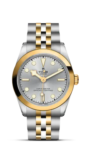 TUDORBlack Bay 31 S&GBlack Bay 31/36/39/4131mm 316L steel case with polished and satin finish - M79603-0002 at Cortina Watch Malaysia