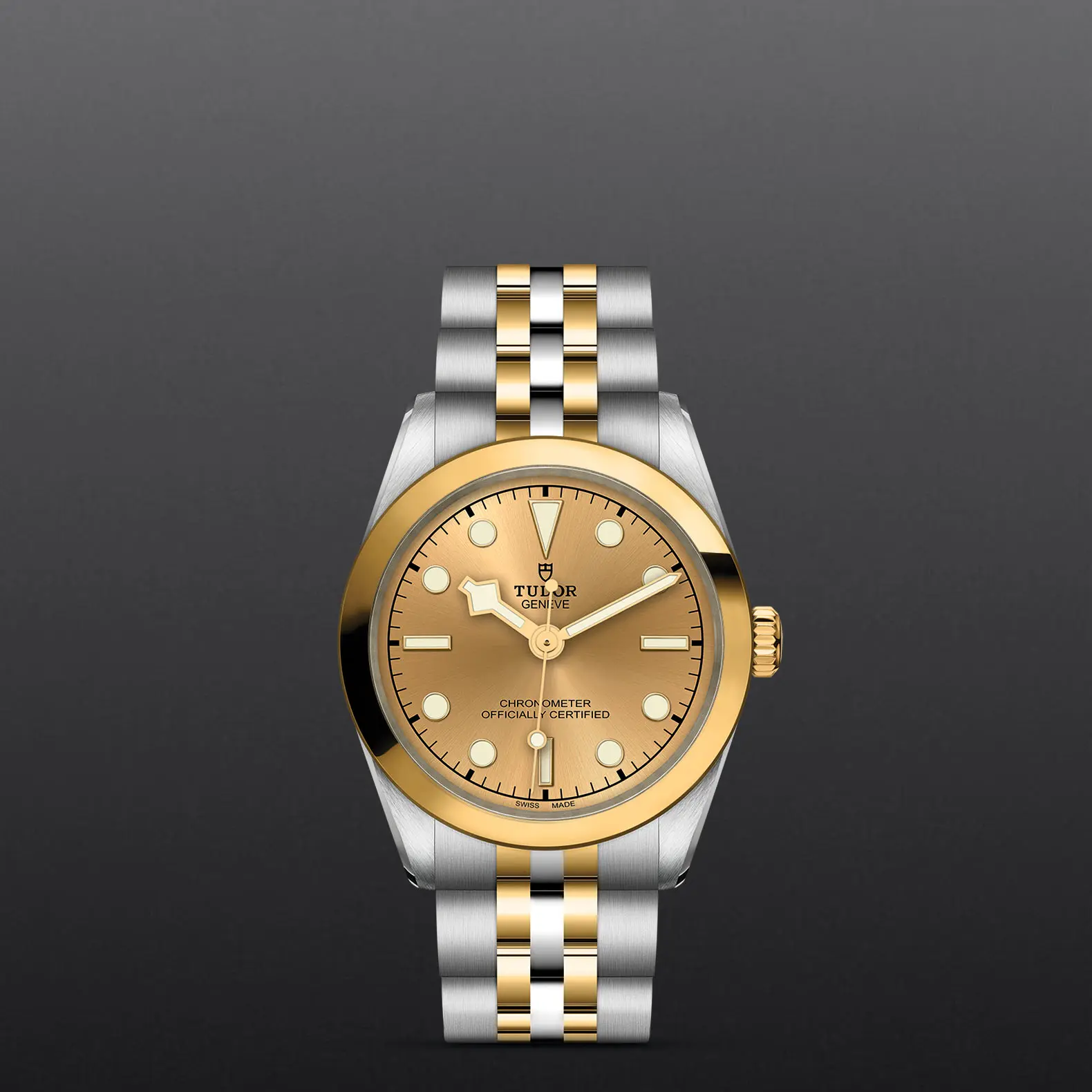 TUDORBlack Bay 31 S&G碧湾型 31/36/39/41磨光及磨砂316L钢表壳，直径31毫米 - M79603-0005 at Cortina Watch Malaysia