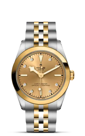 TUDORBlack Bay 31 S&GBlack Bay 31/36/39/4131mm 316L steel case with polished and satin finish - M79603-0008 at Cortina Watch Malaysia