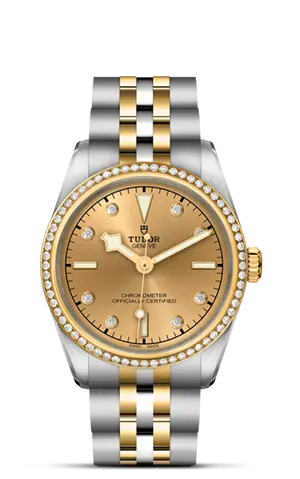 TUDORBlack Bay 31 S&GBlack Bay 31/36/39/4131mm 316L steel case with polished and satin finish - M79613-0007 at Cortina Watch Malaysia