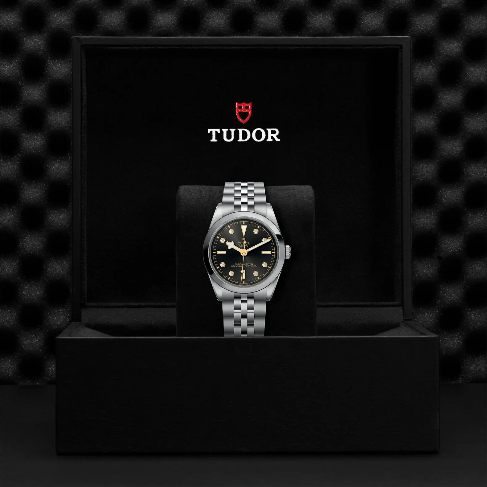 TUDORBlack Bay 36Black Bay 31/36/39/4136mm steel case with polished and satin finish - M79640-0004 at Cortina Watch Malaysia
