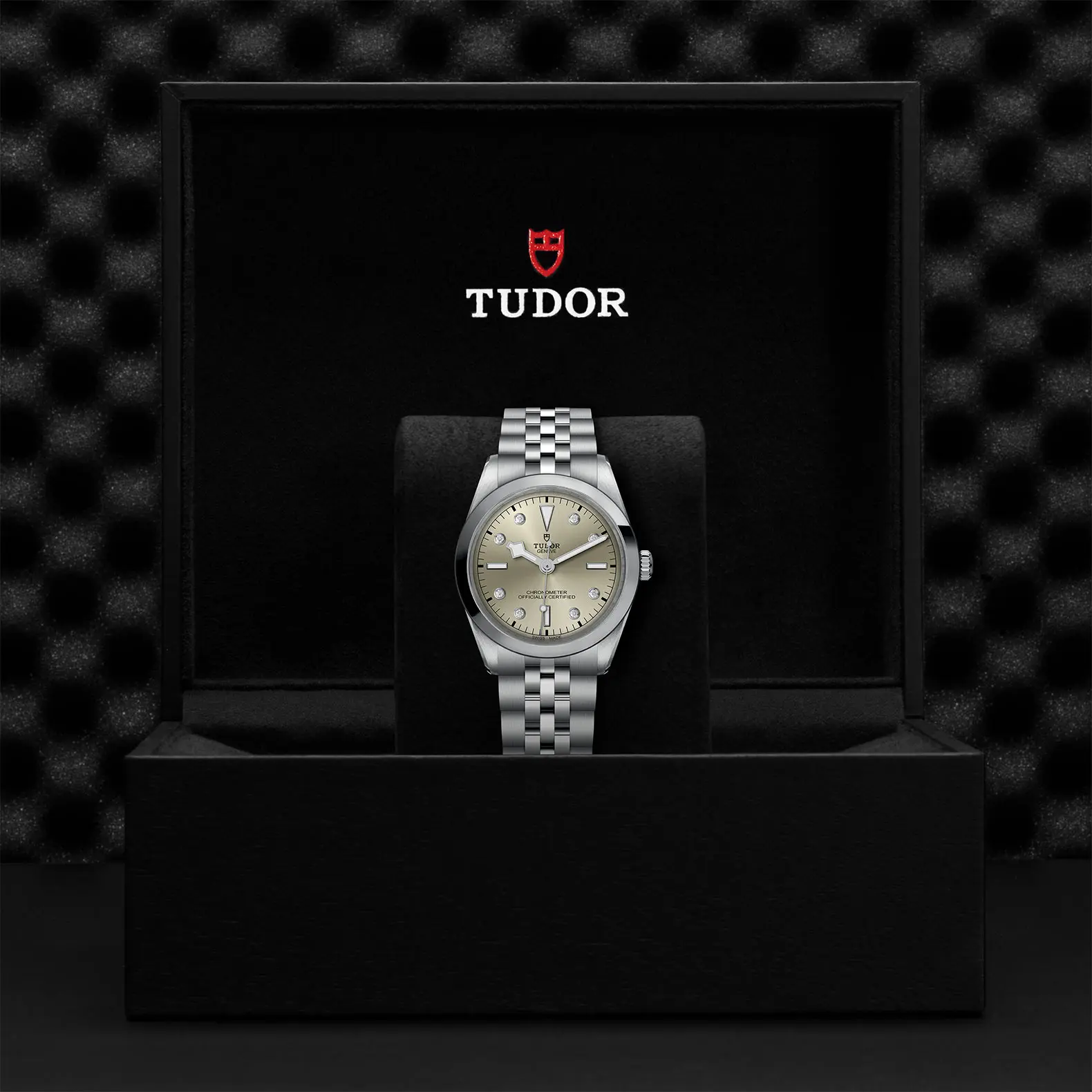TUDORBlack Bay 36Black Bay 31/36/39/4136mm steel case with polished and satin finish - M79640-0006 at Cortina Watch Malaysia