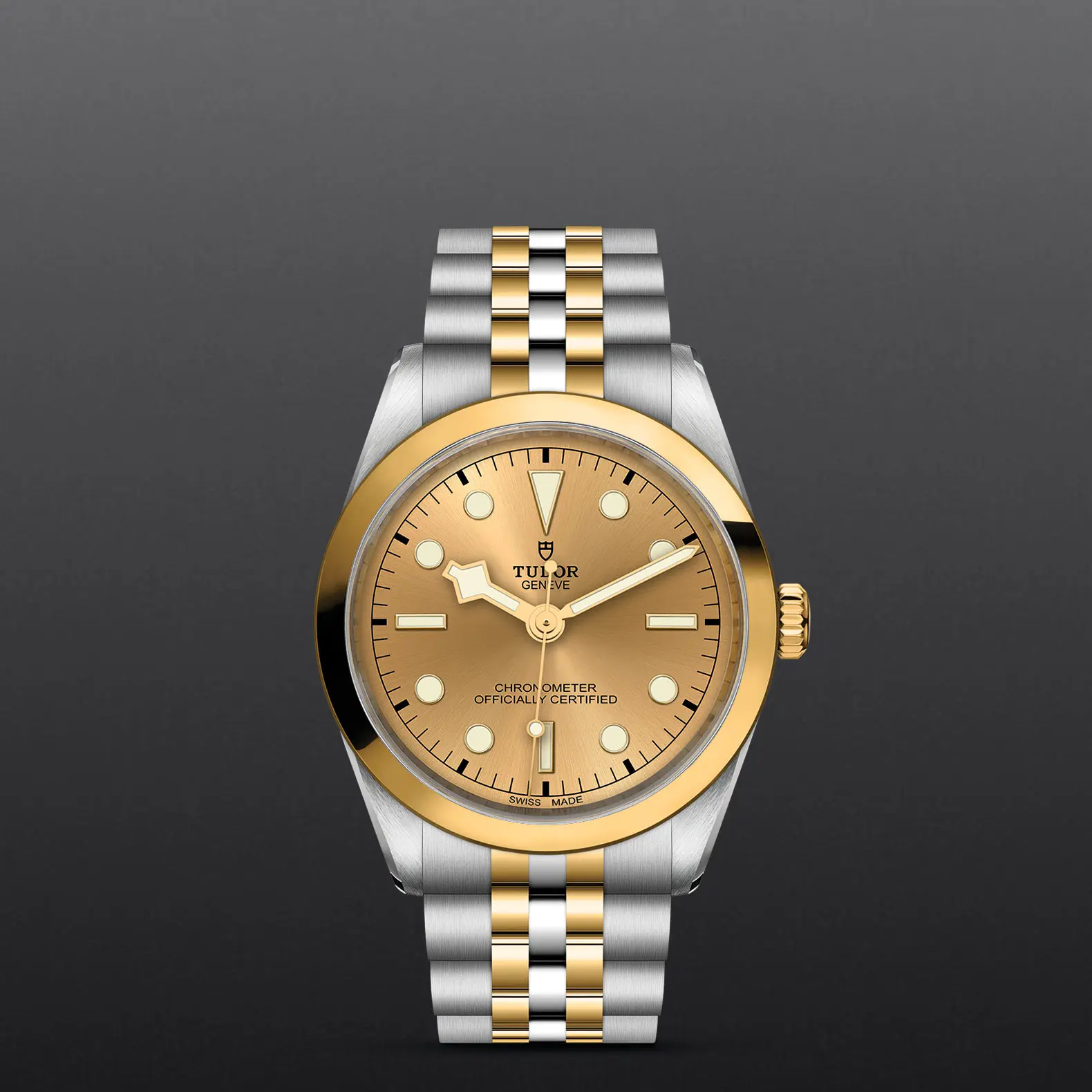 TUDORBlack Bay 36 S&GBlack Bay 31/36/39/4136mm steel case with polished and satin finish - M79643-0005 at Cortina Watch Malaysia