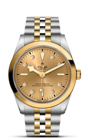 TUDORBlack Bay 36 S&GBlack Bay 31/36/39/4136mm steel case with polished and satin finish - M79643-0008 at Cortina Watch Malaysia