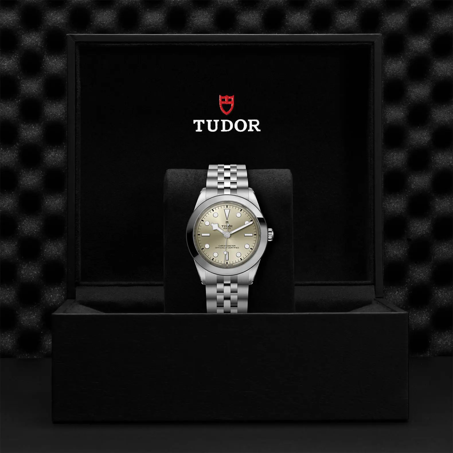 TUDORBlack Bay One 39Black Bay One39mm stainless steel case with polished and satin finish - M79660-0003 at Cortina Watch Malaysia
