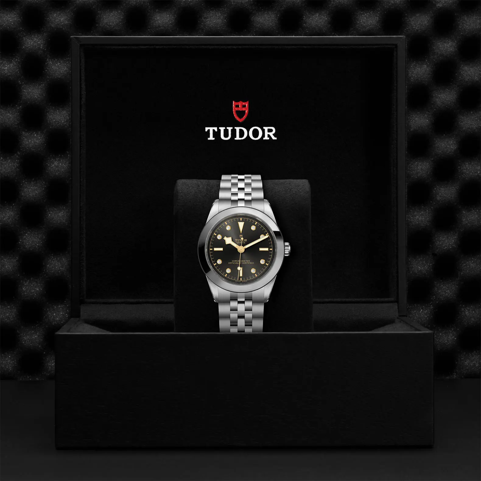 TUDORBlack Bay 39Black Bay 31/36/39/4139mm stainless steel case with polished and satin finish - M79660-0004 at Cortina Watch Malaysia