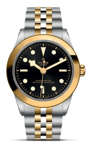 TUDORBlack Bay 39 S&GBlack Bay 31/36/39/4139mm steel case with polished and satin finish - M79663-0001 at Cortina Watch Malaysia
