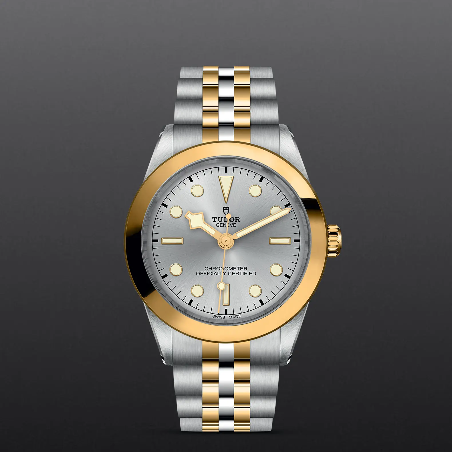 TUDORBlack Bay 39 S&G碧湾型 31/36/39/41磨光及磨砂钢表壳，直径39毫米 - M79663-0002 at Cortina Watch Malaysia