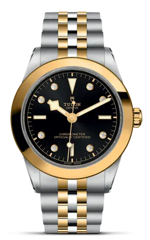 TUDORBlack Bay 39 S&GBlack Bay 31/36/39/4139mm steel case with polished and satin finish - M79663-0006 at Cortina Watch Malaysia