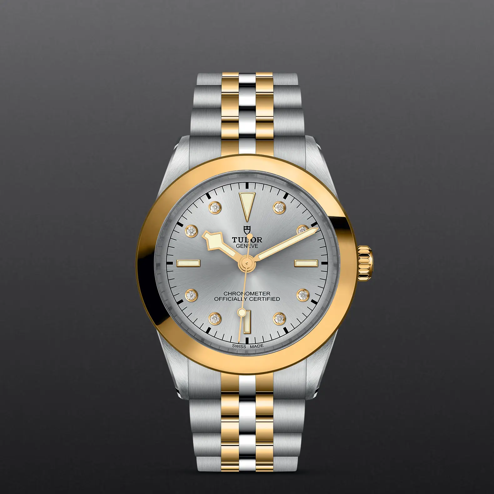 TUDORBlack Bay 39 S&GBlack Bay 31/36/39/4139mm steel case with polished and satin finish - M79663-0007 at Cortina Watch Malaysia