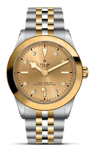 TUDORBlack Bay 39 S&GBlack Bay 31/36/39/4139mm steel case with polished and satin finish - M79663-0008 at Cortina Watch Malaysia