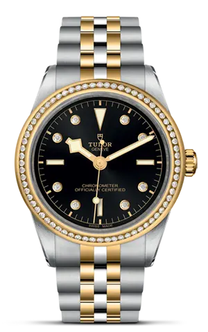 TUDORBlack Bay 39 S&GBlack Bay 31/36/39/4139mm steel case with polished and satin finish - M79673-0005 at Cortina Watch Malaysia