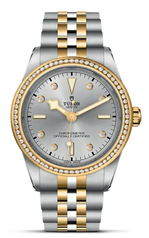 TUDORBlack Bay 39 S&GBlack Bay 31/36/39/4139mm steel case with polished and satin finish - M79673-0006 at Cortina Watch Malaysia