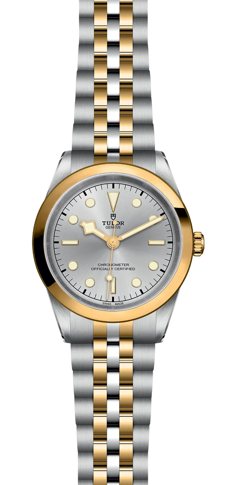 TUDORBlack Bay 41 S&G碧湾型 31/36/39/41磨光及磨砂钢表壳，直径41毫米 - M79683-0002 at Cortina Watch Malaysia