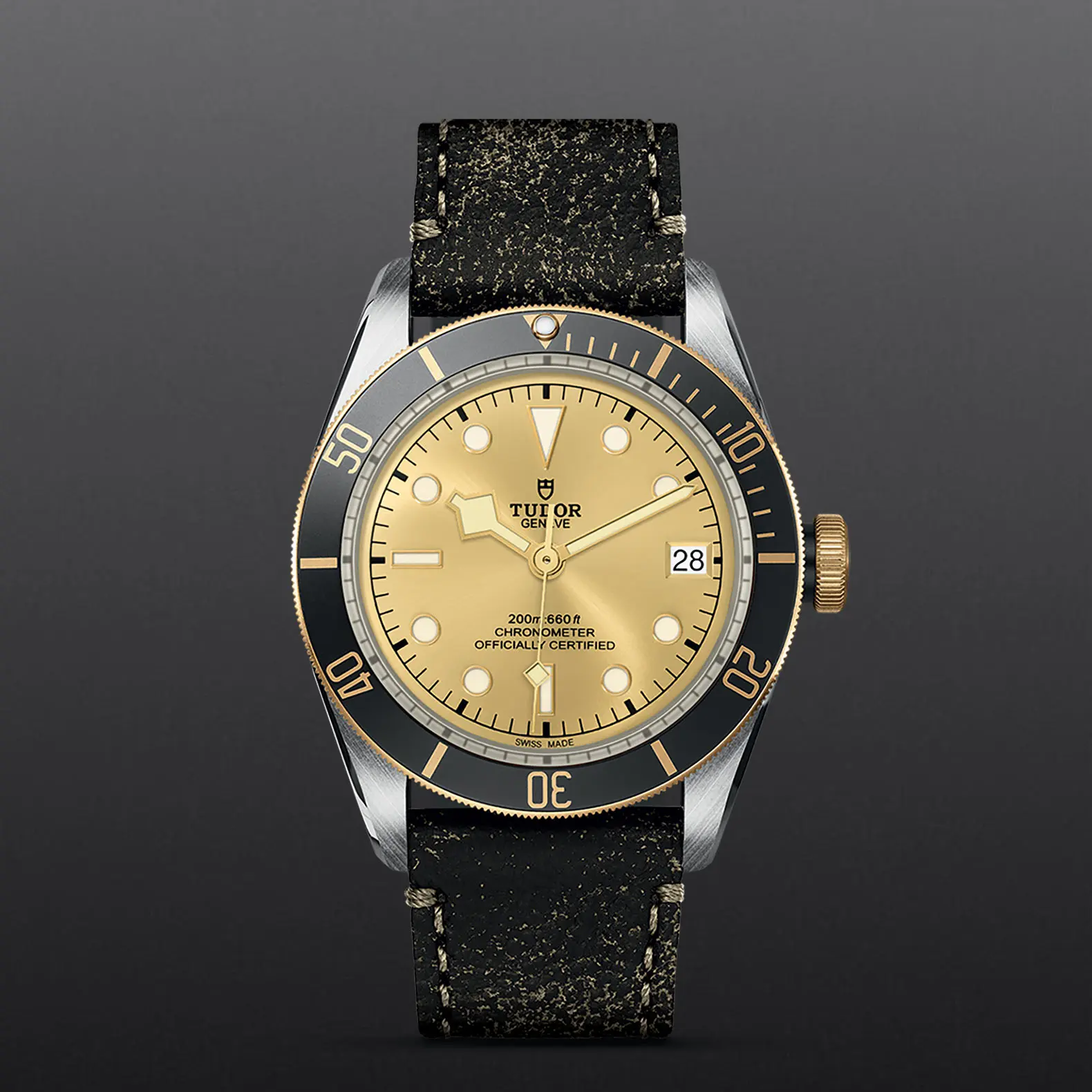 TUDORBlack Bay S&G碧湾磨光及磨砂钢表壳，直径41毫米 - M79733N-0003 at Cortina Watch Malaysia