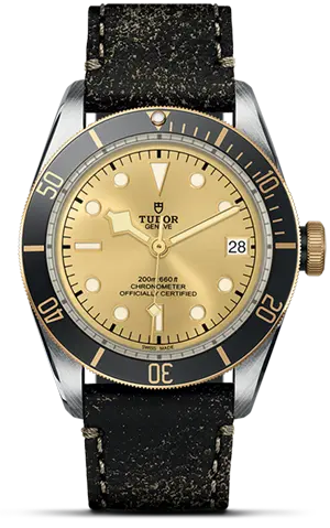 TUDORBlack Bay S&G碧湾磨光及磨砂钢表壳，直径41毫米 - M79733N-0003 at Cortina Watch Malaysia
