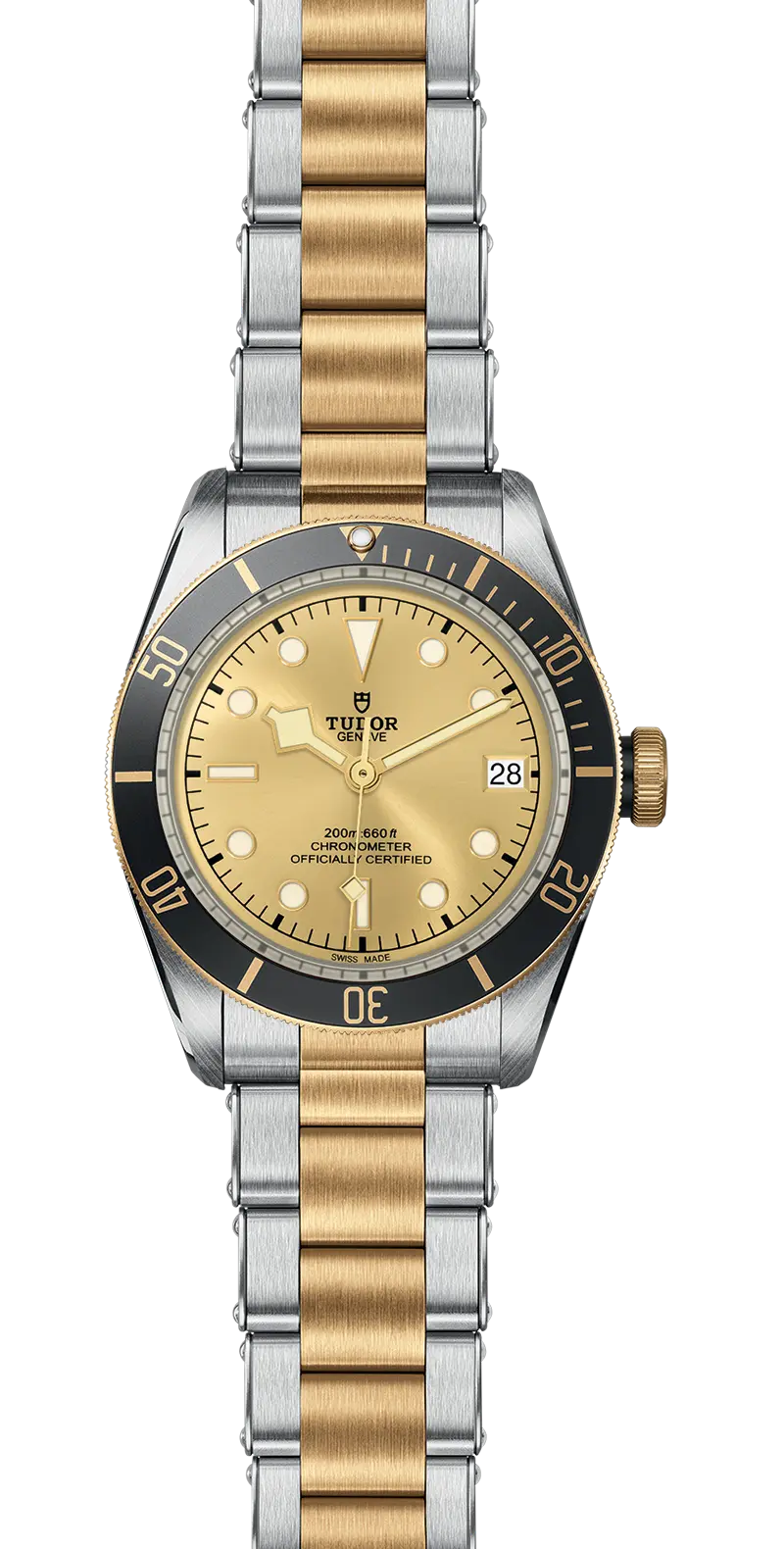 TUDORBlack Bay S&G碧湾磨光及磨砂钢表壳，直径41毫米 - M79733N-0004 at Cortina Watch Malaysia