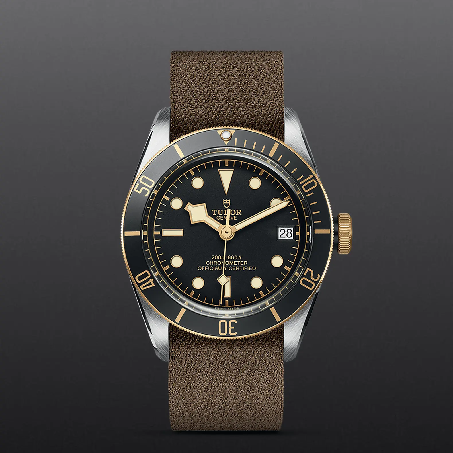 TUDORBlack Bay S&GBlack Bay41mm steel case with polished and satin finish - M79733N-0005 at Cortina Watch Malaysia