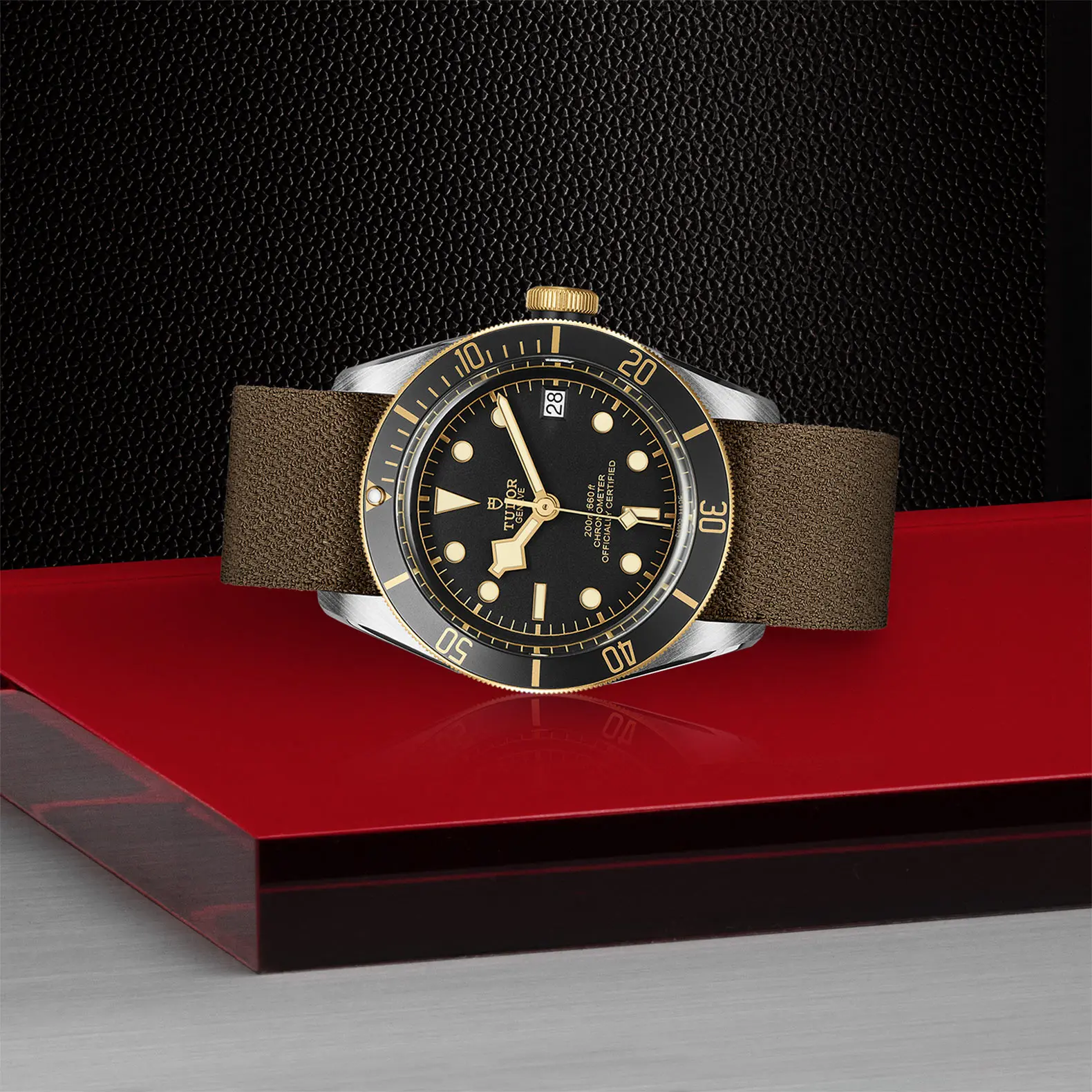 TUDORBlack Bay S&GBlack Bay41mm steel case with polished and satin finish - M79733N-0005 at Cortina Watch Malaysia
