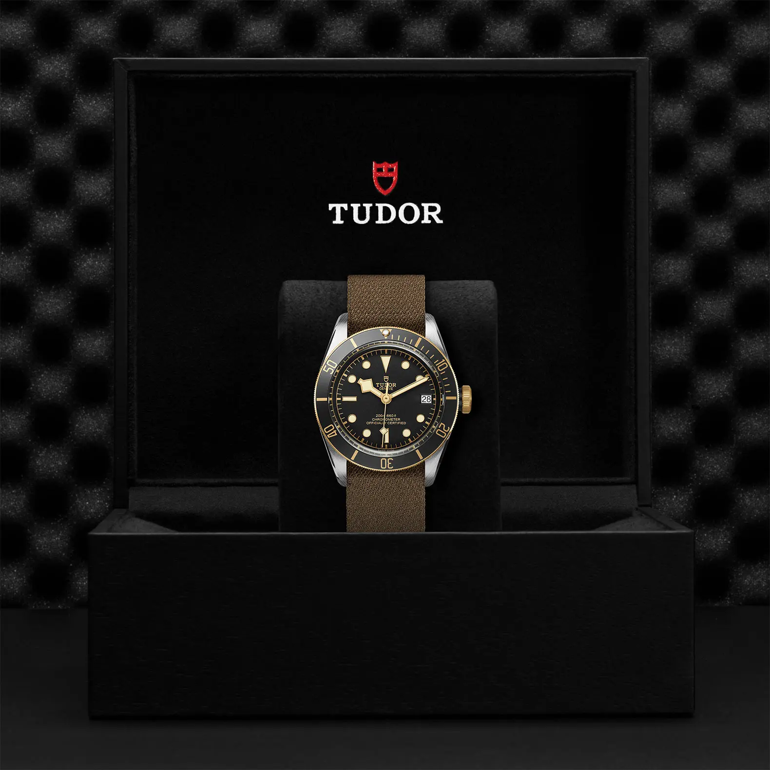 TUDORBlack Bay S&GBlack Bay41mm steel case with polished and satin finish - M79733N-0005 at Cortina Watch Malaysia