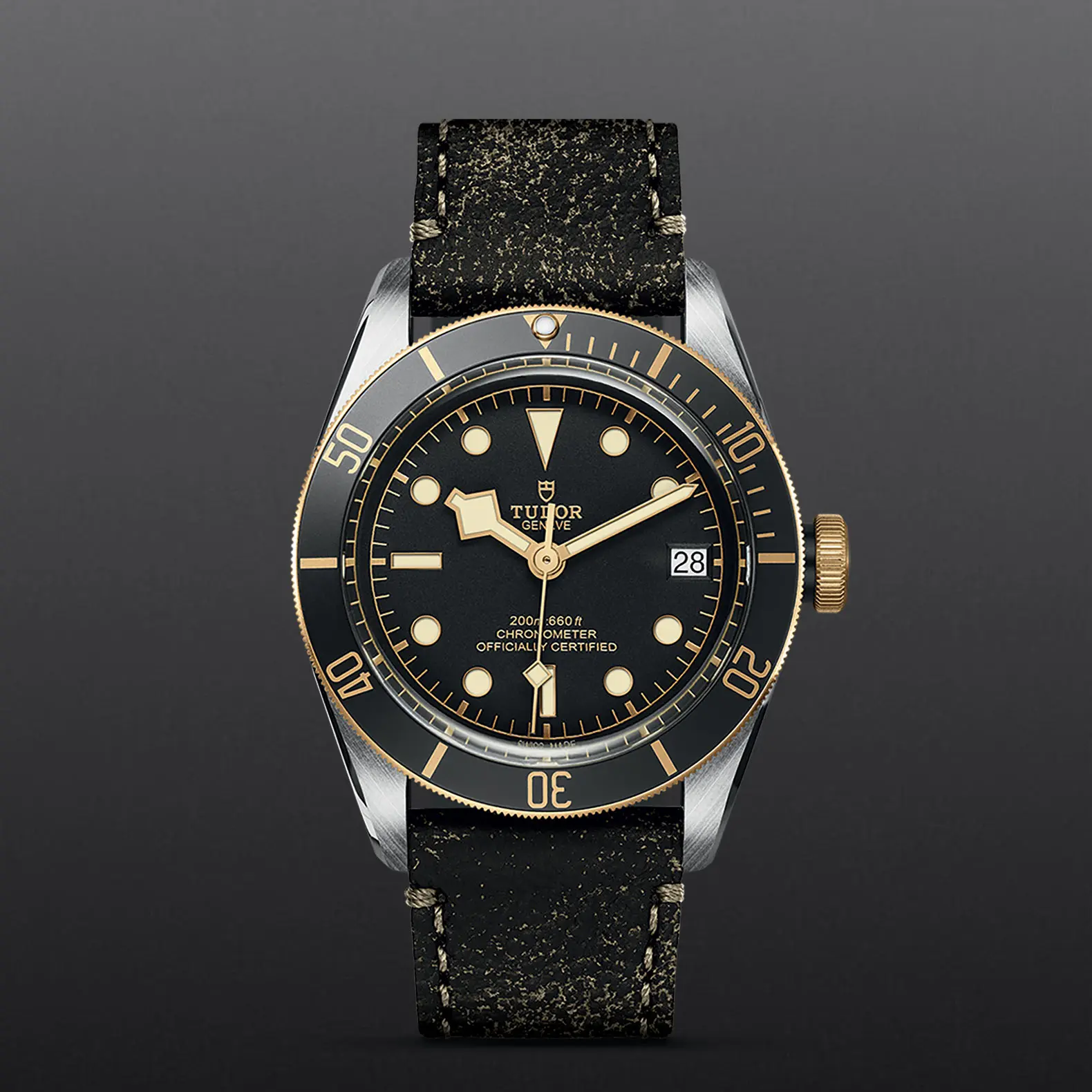 TUDORBlack Bay S&GBlack Bay41mm steel case with polished and satin finish - M79733N-0007 at Cortina Watch Malaysia