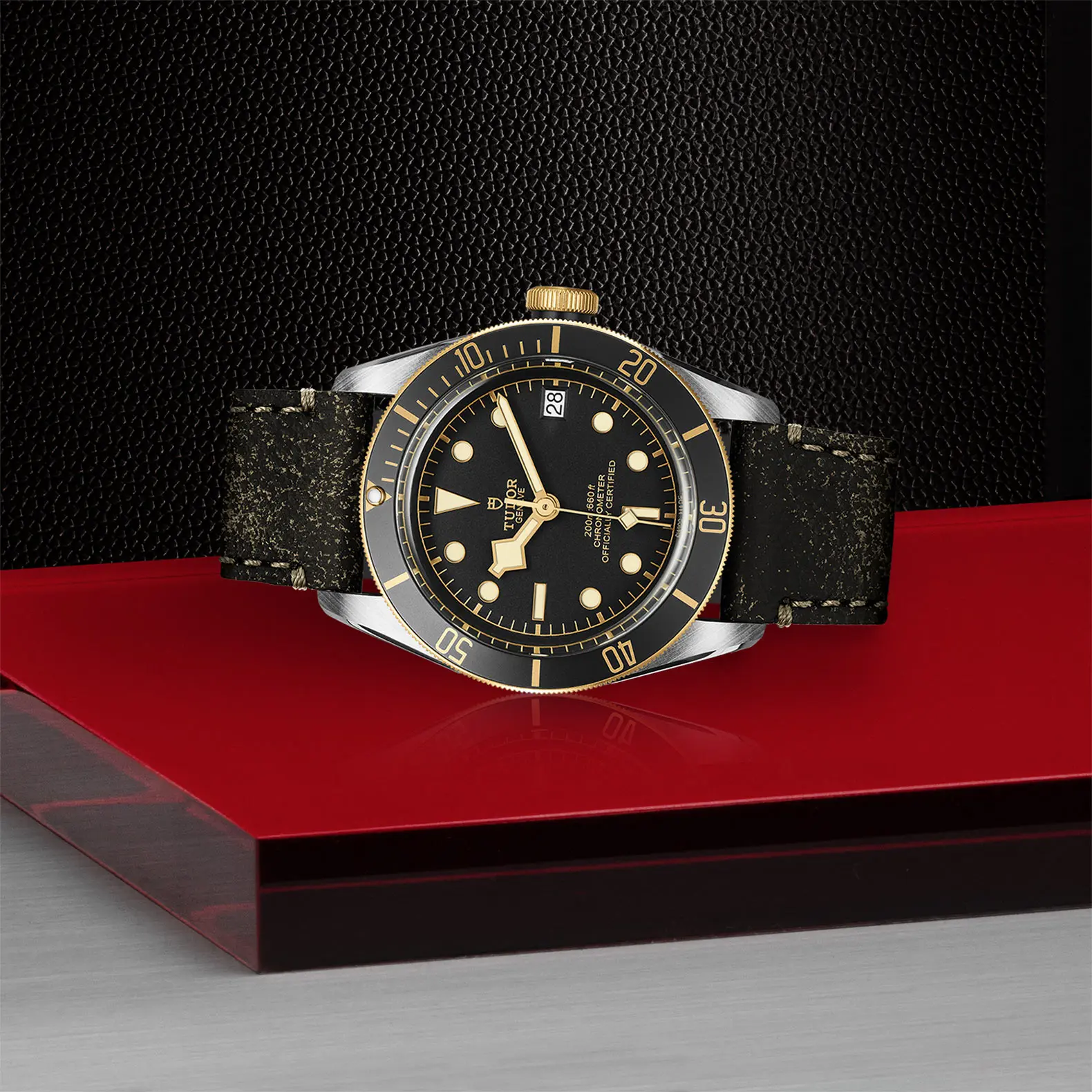TUDORBlack Bay S&GBlack Bay41mm steel case with polished and satin finish - M79733N-0007 at Cortina Watch Malaysia