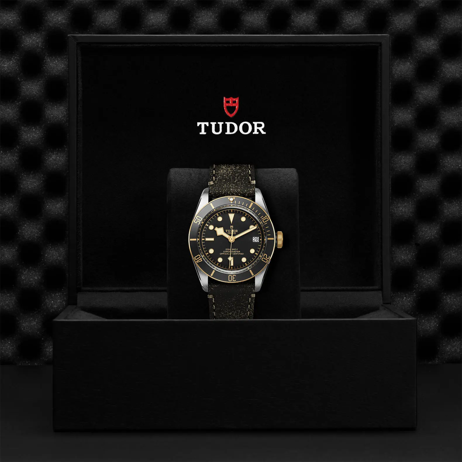TUDORBlack Bay S&GBlack Bay41mm steel case with polished and satin finish - M79733N-0007 at Cortina Watch Malaysia