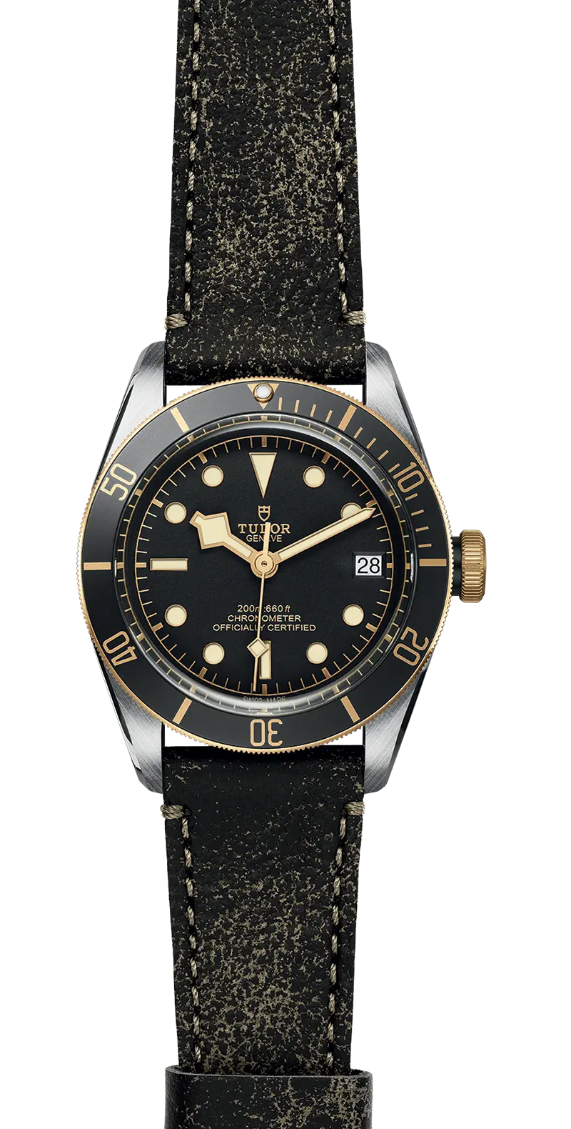 TUDORBlack Bay S&GBlack Bay41mm steel case with polished and satin finish - M79733N-0007 at Cortina Watch Malaysia