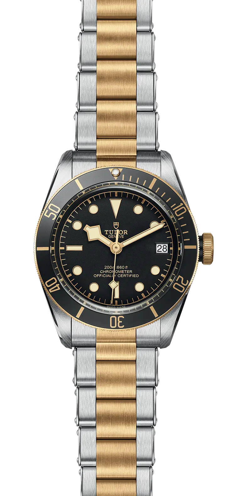 TUDORBlack Bay S&G碧湾磨光及磨砂钢表壳，直径41毫米 - M79733N-0008 at Cortina Watch Malaysia