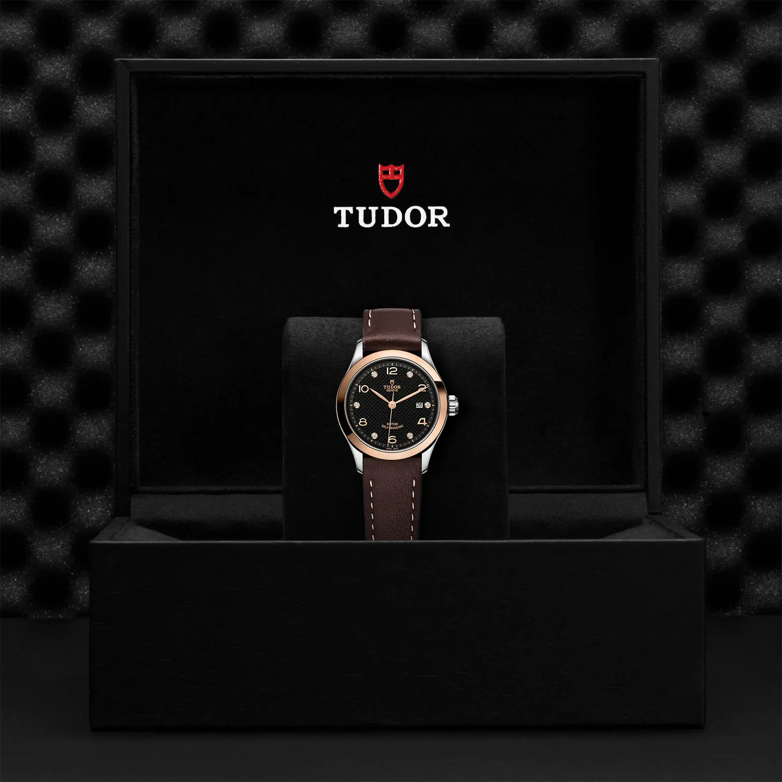 TUDOR19261926系列磨光钢表壳，直径28毫米 - M91351-0008 at Cortina Watch Malaysia