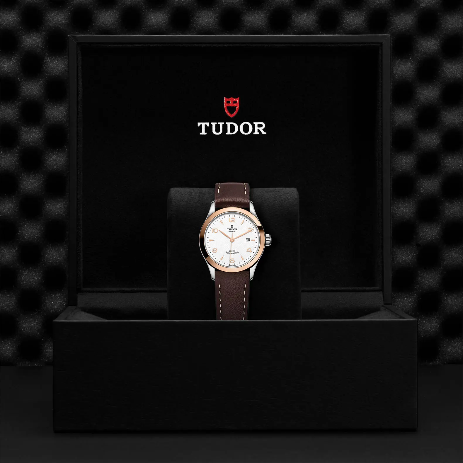 TUDOR19261926系列磨光钢表壳，直径28毫米 - M91351-0010 at Cortina Watch Malaysia